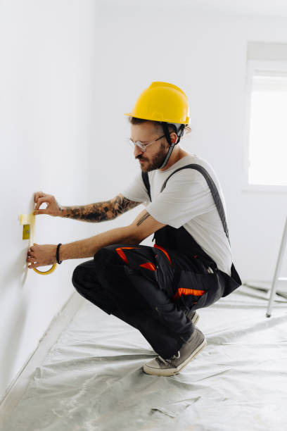 Best Wallpaper Removal and Painting  in Orange Park, FL